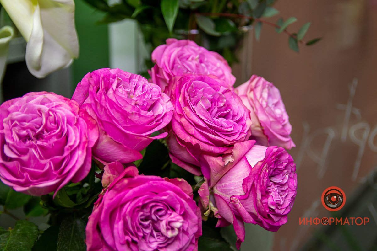 Невероятный цвет Невероятный цвет