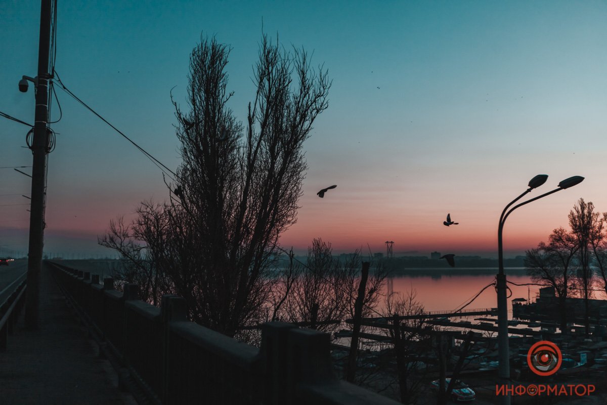 Силуэты птиц Силуэты птиц