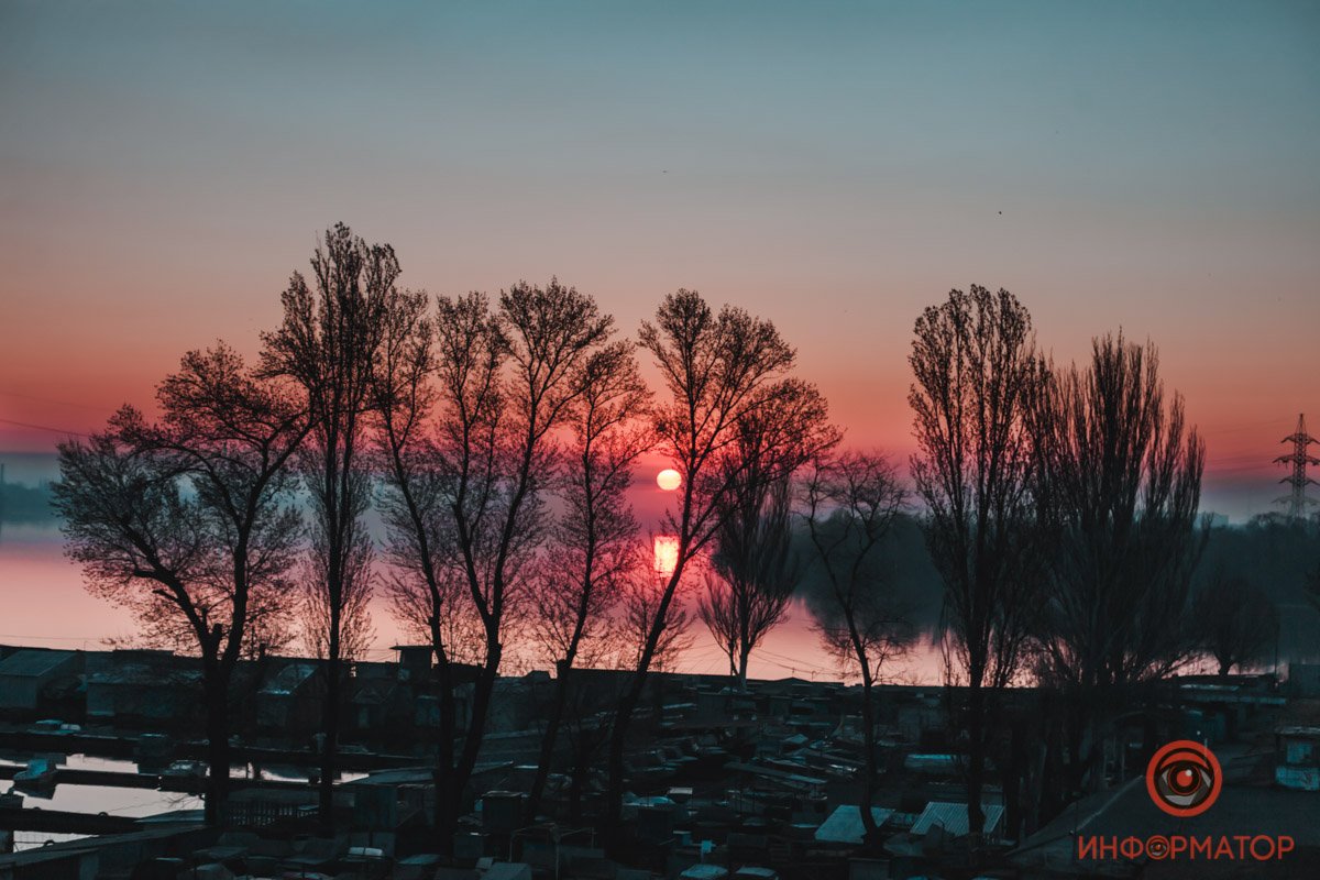 В паутине веток В паутине веток