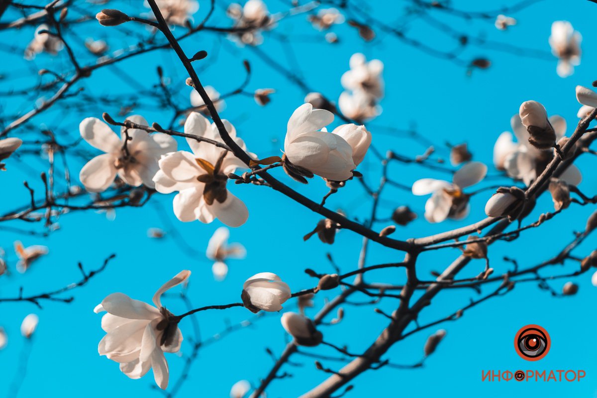 Весна потихоньку осваивается в городе Весна потихоньку осваивается в городе