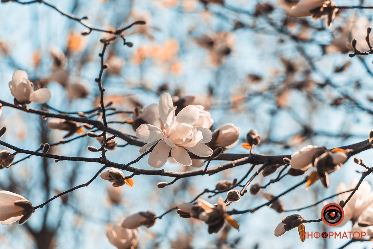 Красота ждет окончания карантина Красота ждет окончания карантина