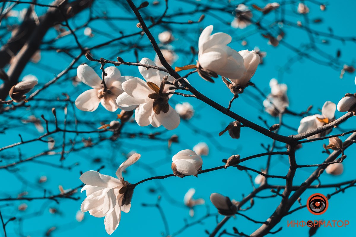 Весна пришла Весна пришла