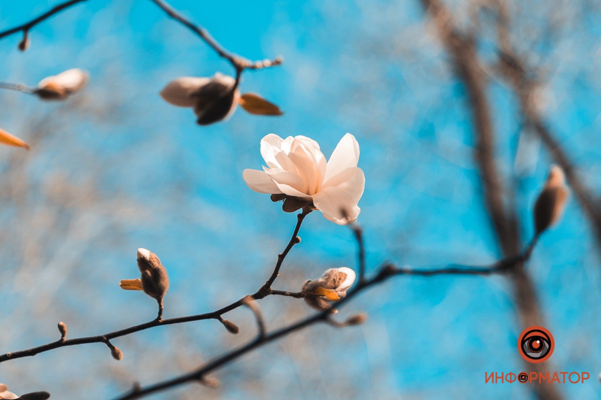Днепр прекрасен Днепр прекрасен