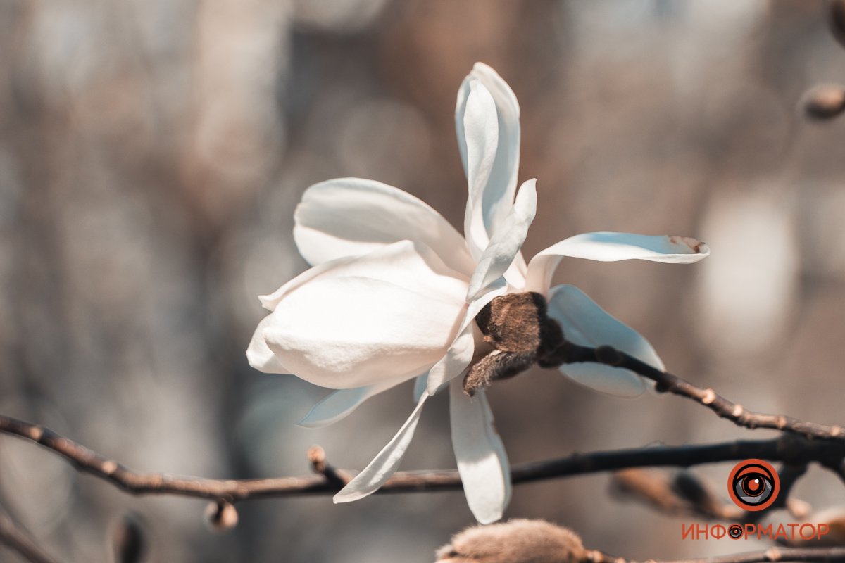 Обращайте внимание  Обращайте внимание