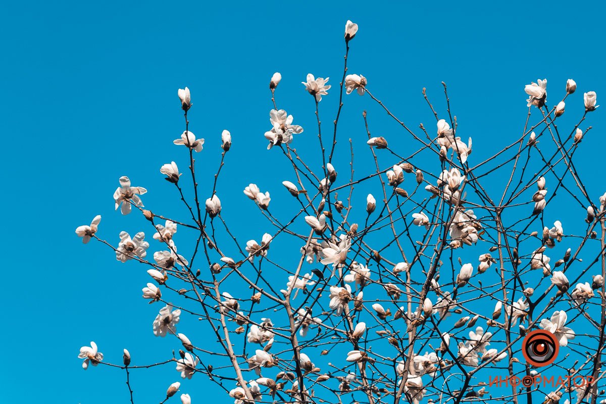 Когда уже все будет зеленым? Когда уже все будет зеленым?