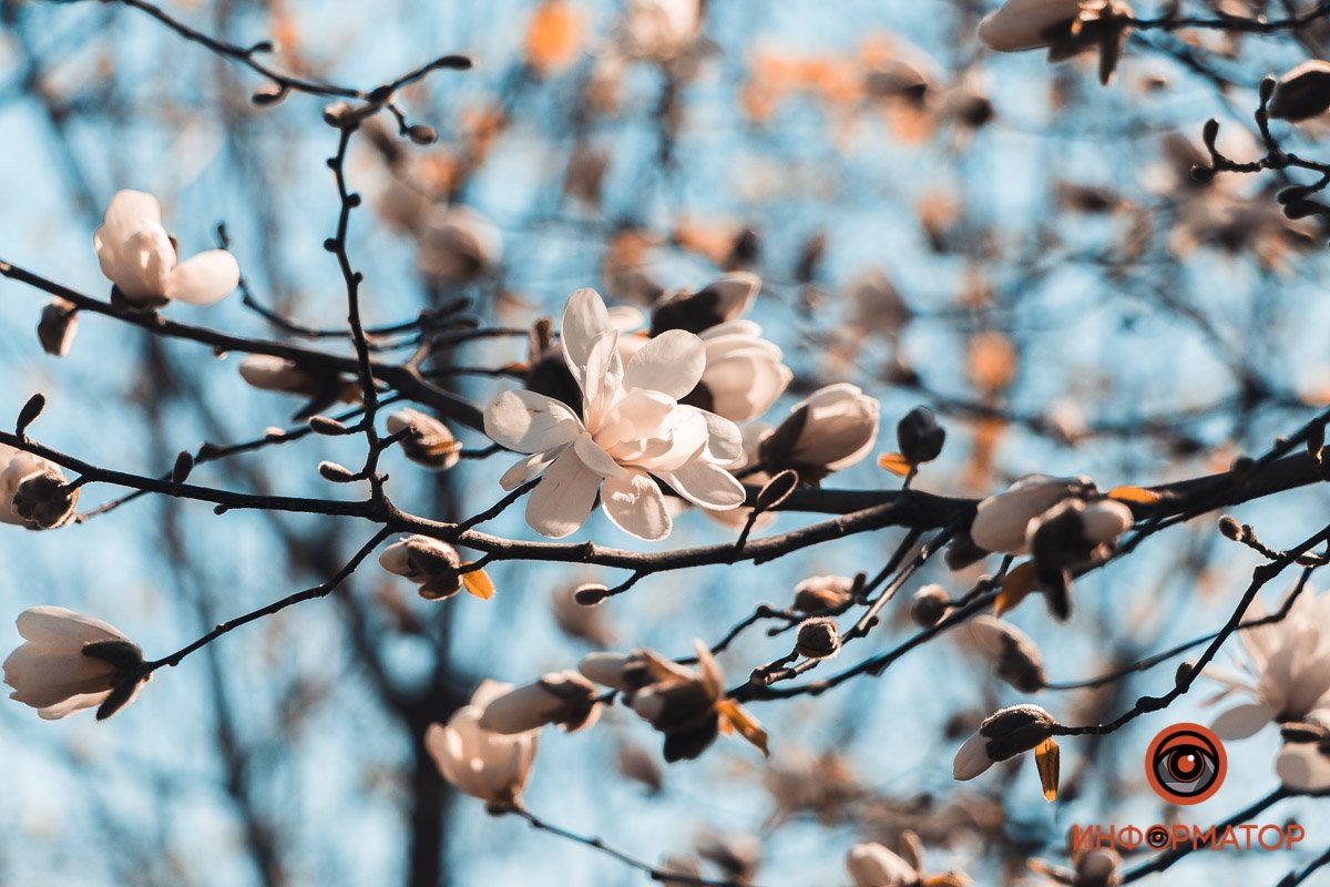 Прекрасно Прекрасно