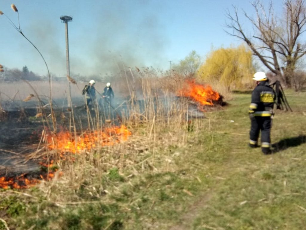 Подумайте о соседях, о животных, о своих детях