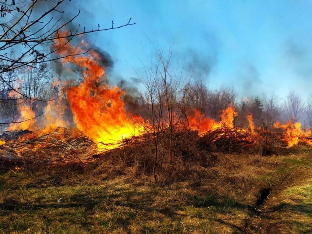 Вы убиваете все живое