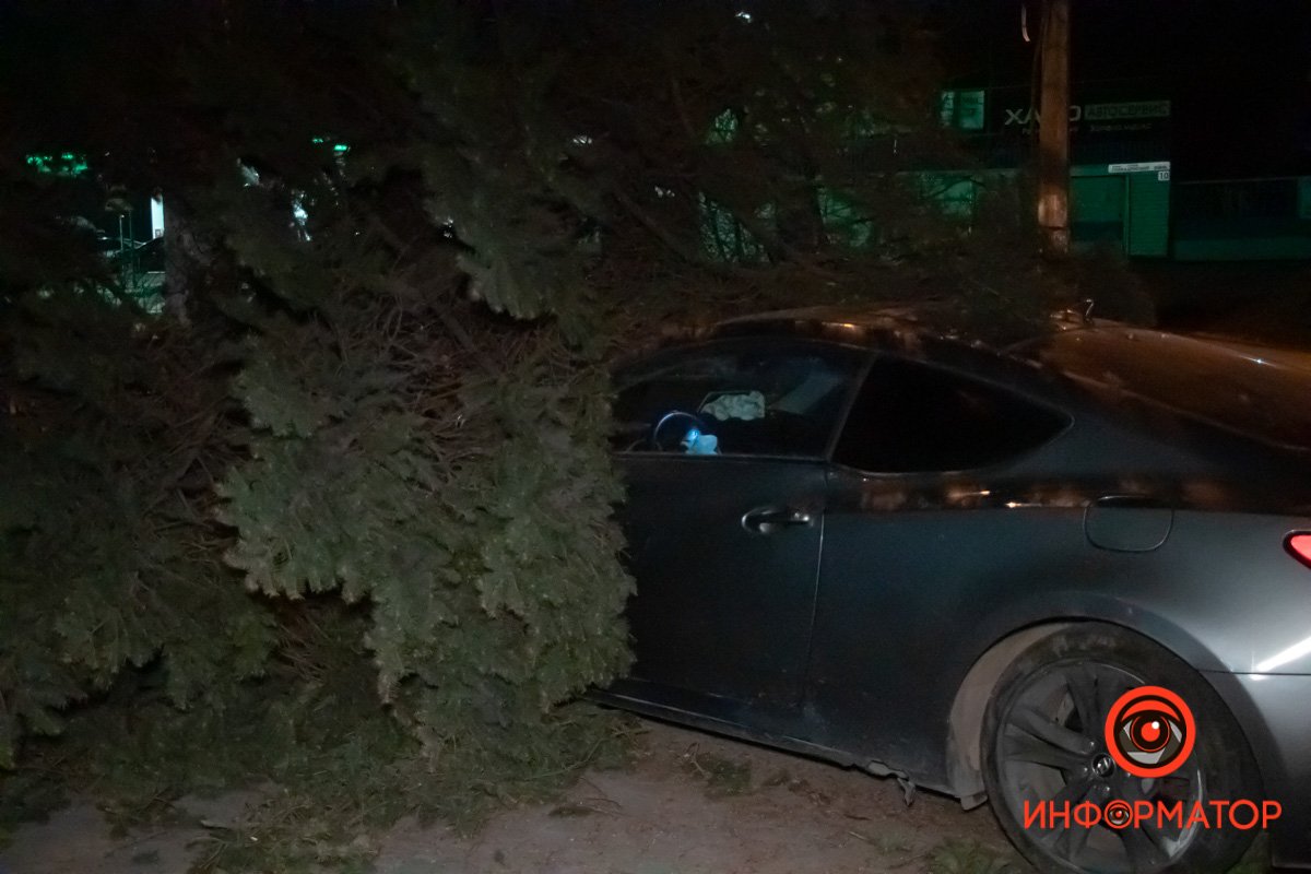От удара дерево сломалось и рухнуло на автомобиль