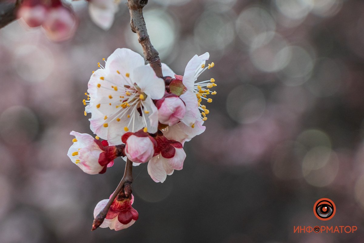 Совсем скоро можно будет выйти на улицу Совсем скоро можно будет выйти на улицу