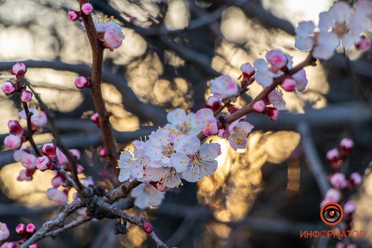 Берегите себя, чтобы встретить еще не одну весну Берегите себя, чтобы встретить еще не одну весну