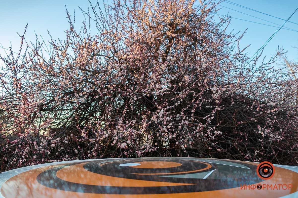 Мы принесем вам новости  Мы принесем вам новости