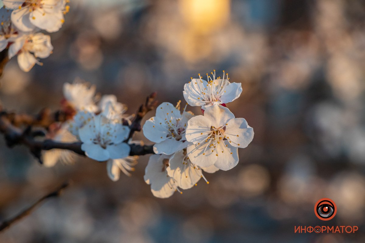 Мир вокруг прекрасен Мир вокруг прекрасен