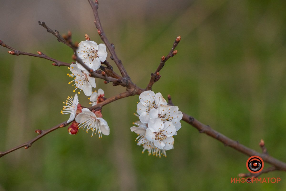 Время для любви Время для любви