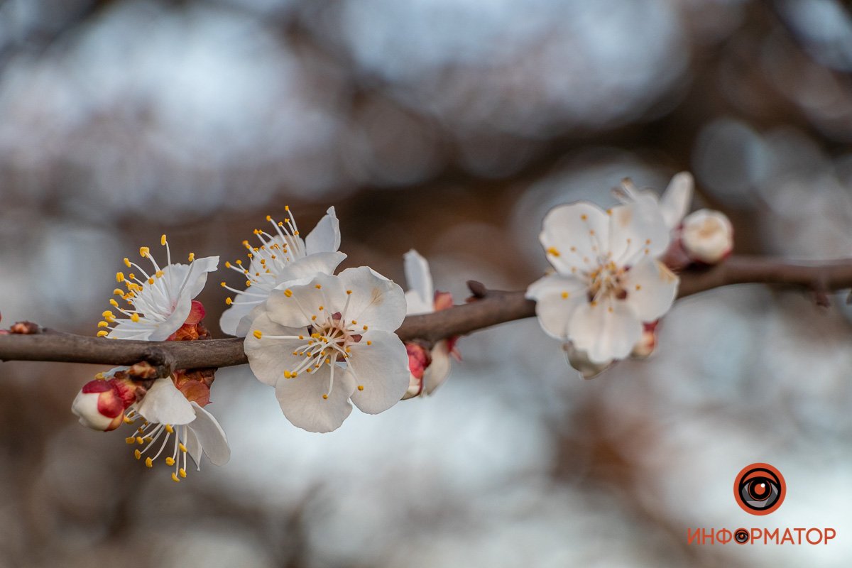 Наслаждайтесь Наслаждайтесь