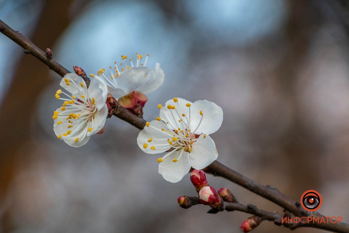 Вы ничего не пропустите Вы ничего не пропустите