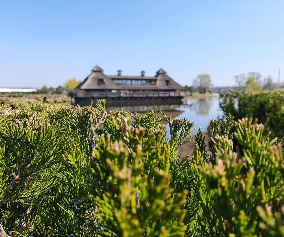 Фото: soloviyanov