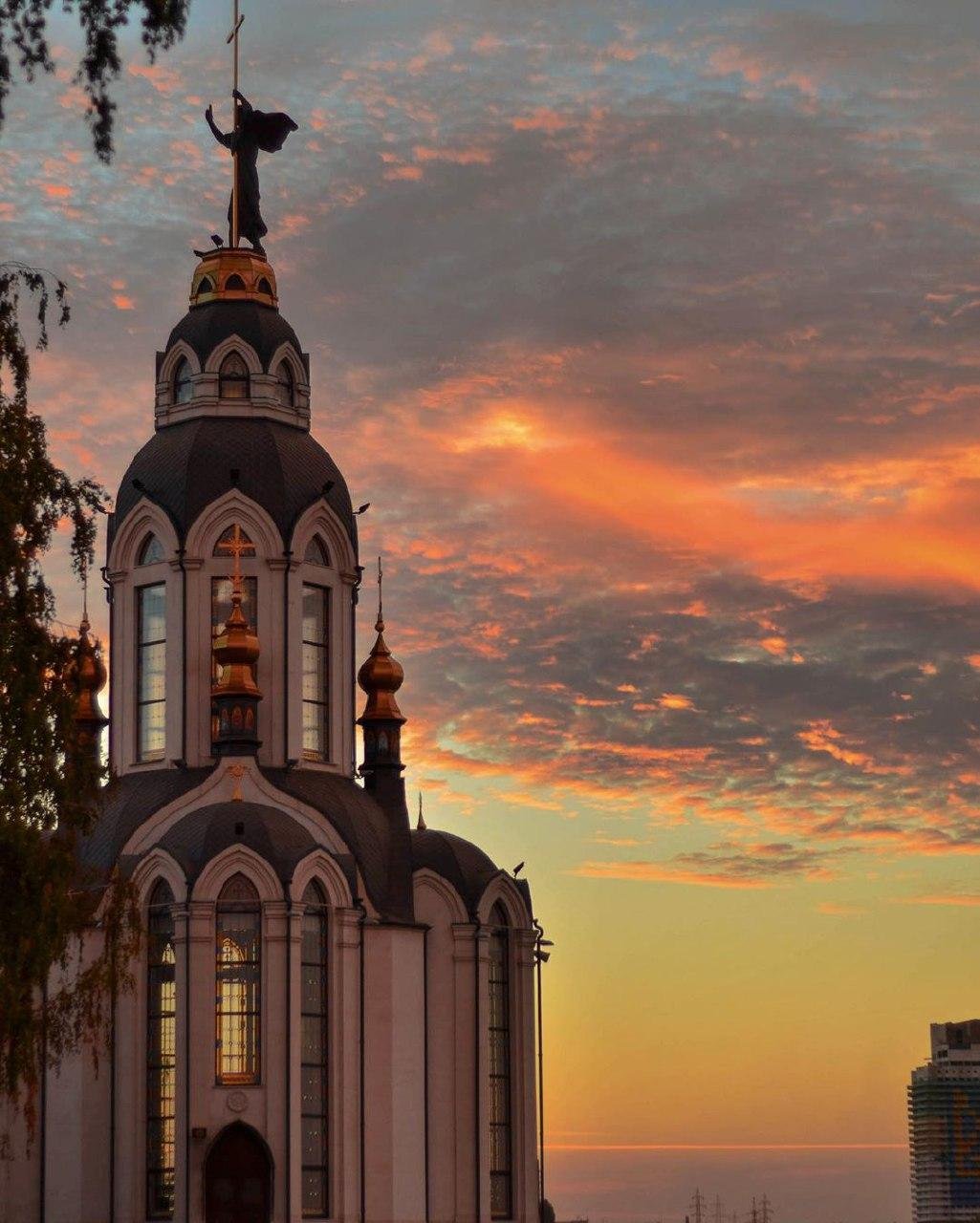 Фото: photo_swallow