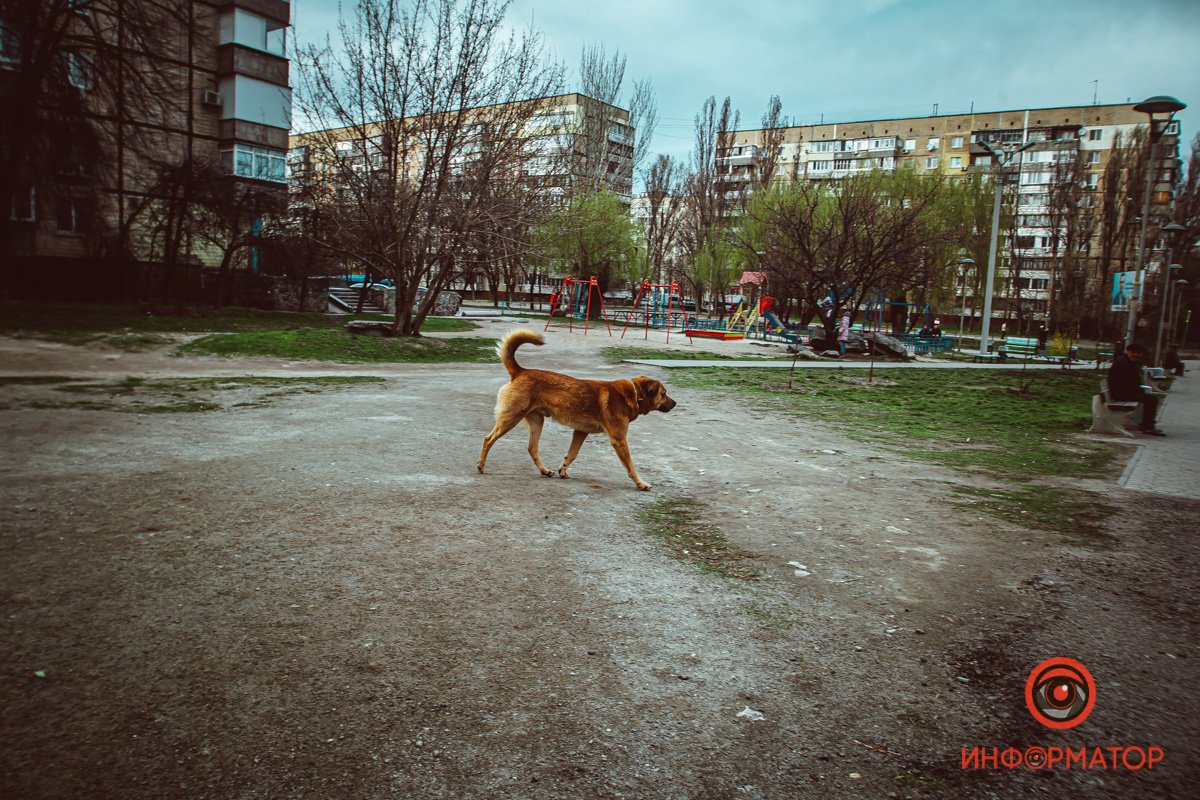 Не брошенное запросто клеймо.