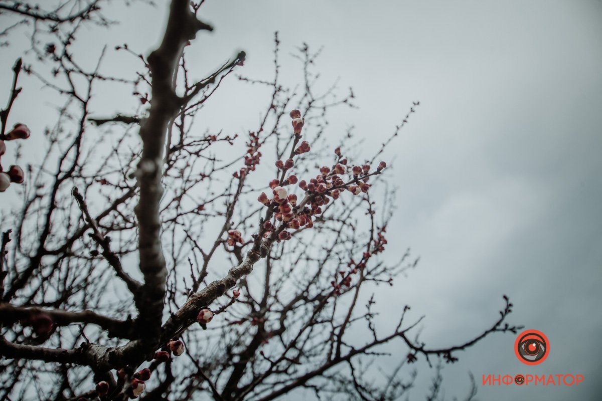 Что где-то там нам будет передышка,