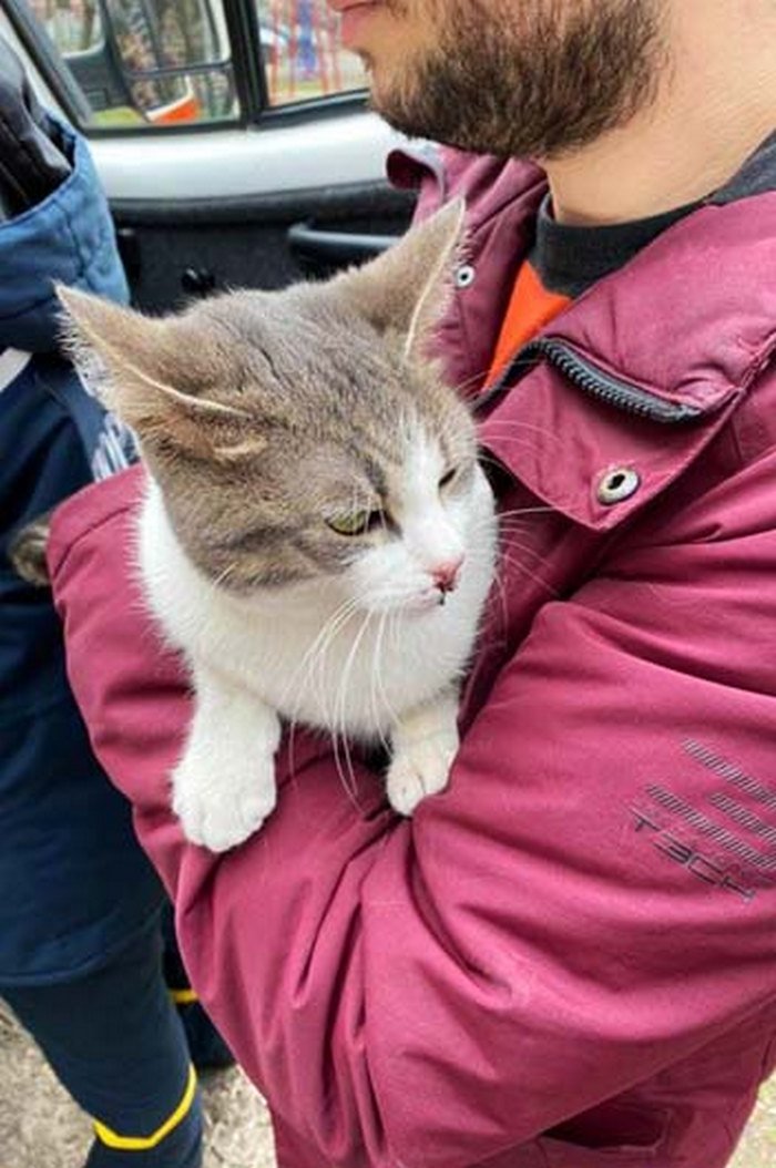 Бедняжку вернули хозяину