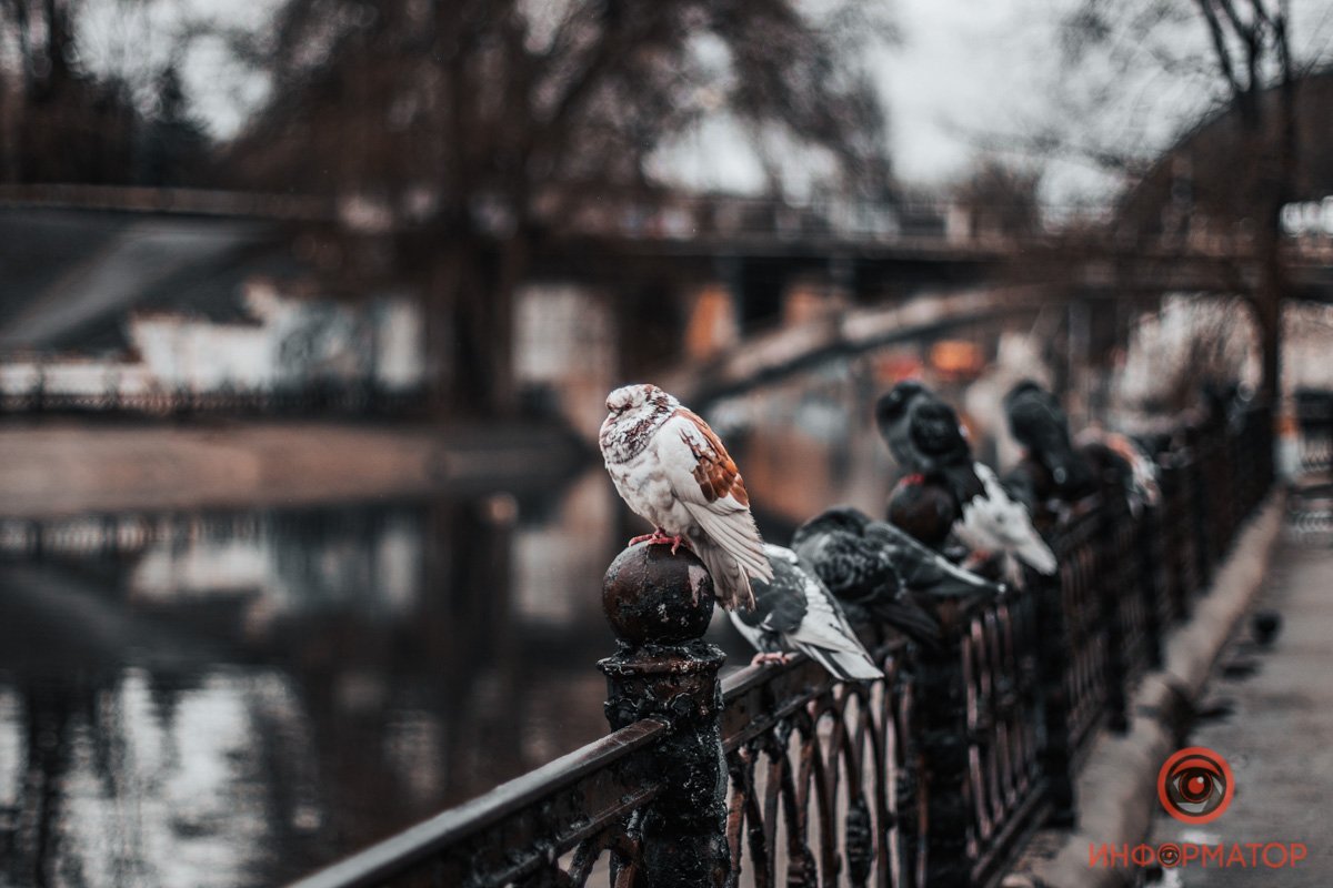 И в нём тебя жду я. И в нём тебя жду я.