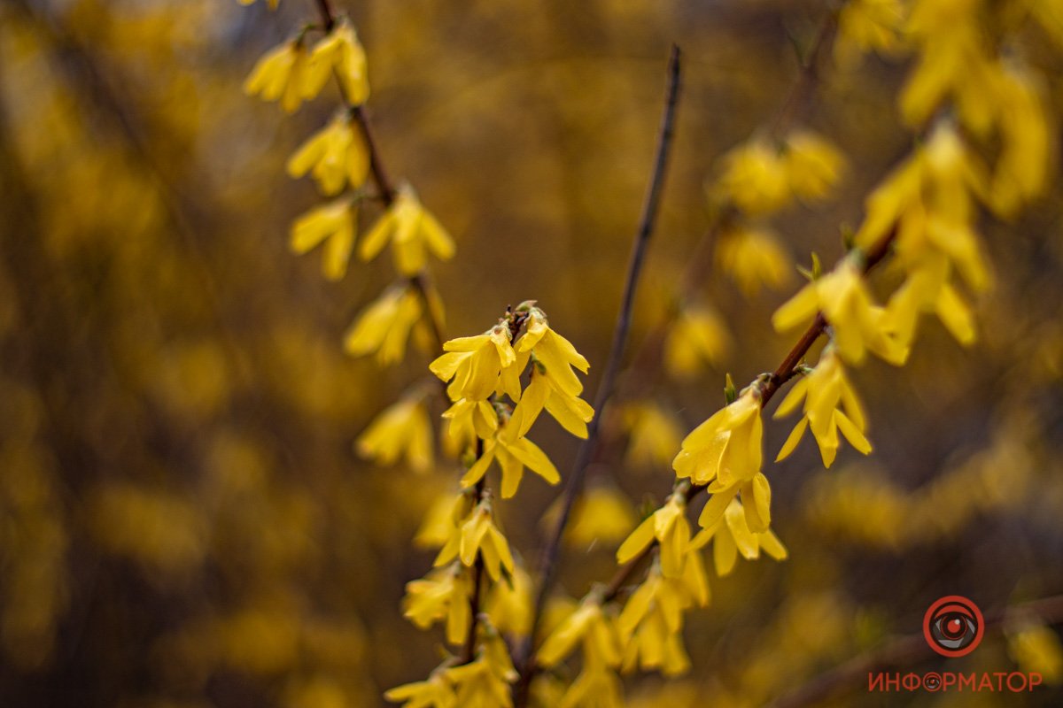 Красота Красота