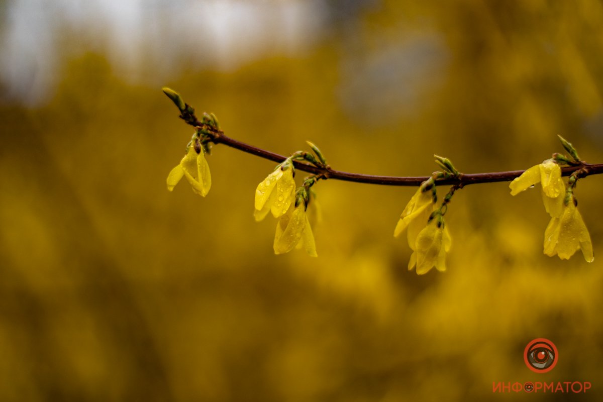 Скоро закончится карантин, и вы сами все увидите  Скоро закончится карантин, и вы сами все увидите