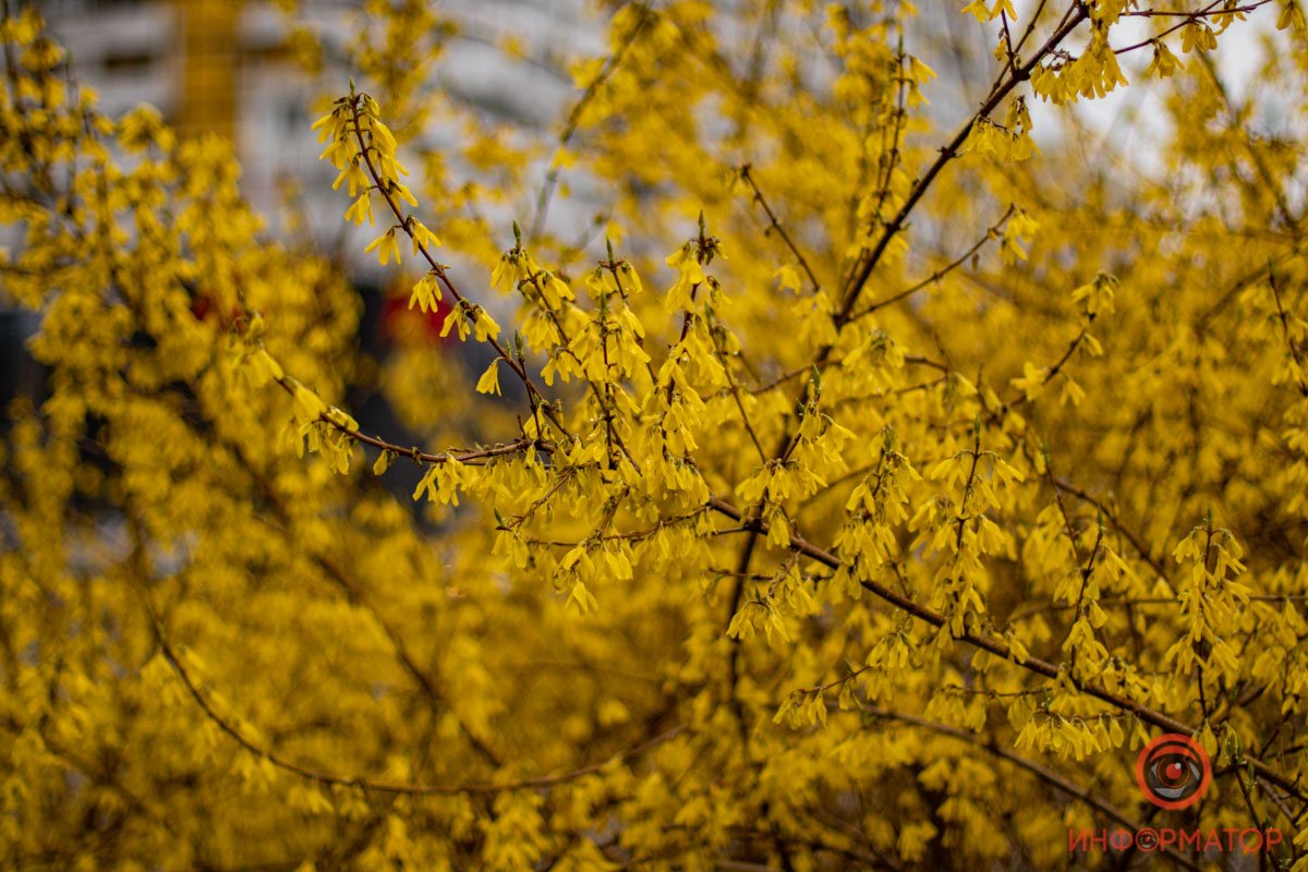 Мир вокруг прекрасен Мир вокруг прекрасен