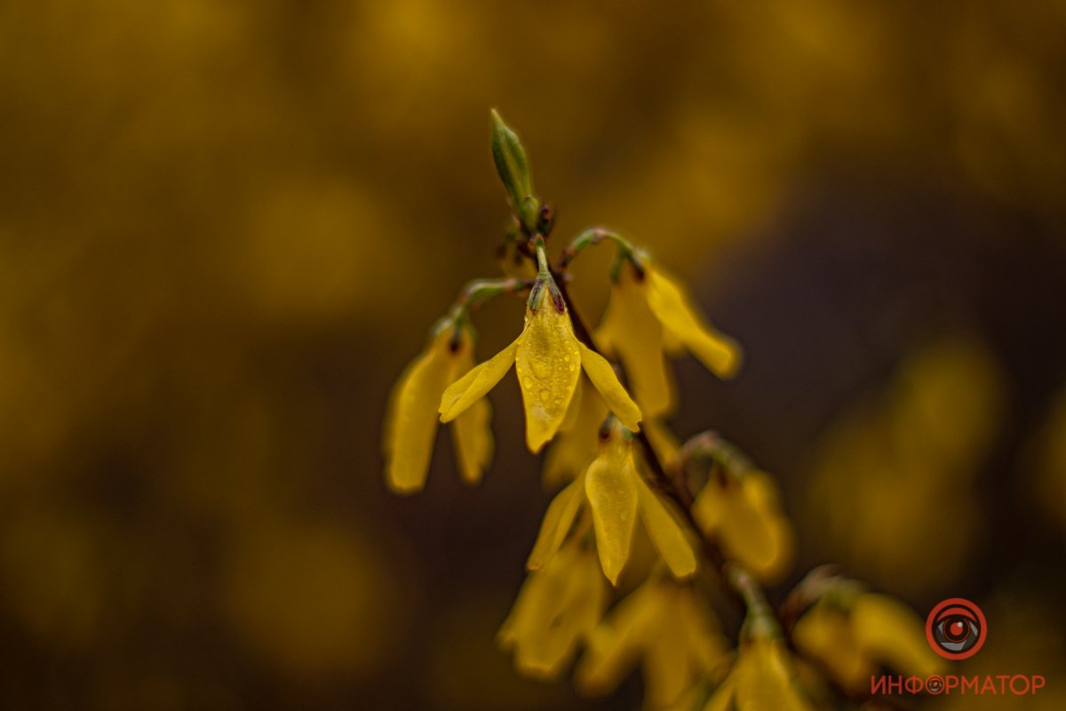 Весна пришла Весна пришла