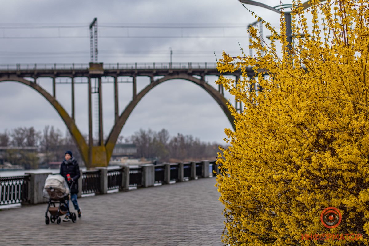 Выходя на улицу, берите респиратор и антисептик Выходя на улицу, берите респиратор и антисептик