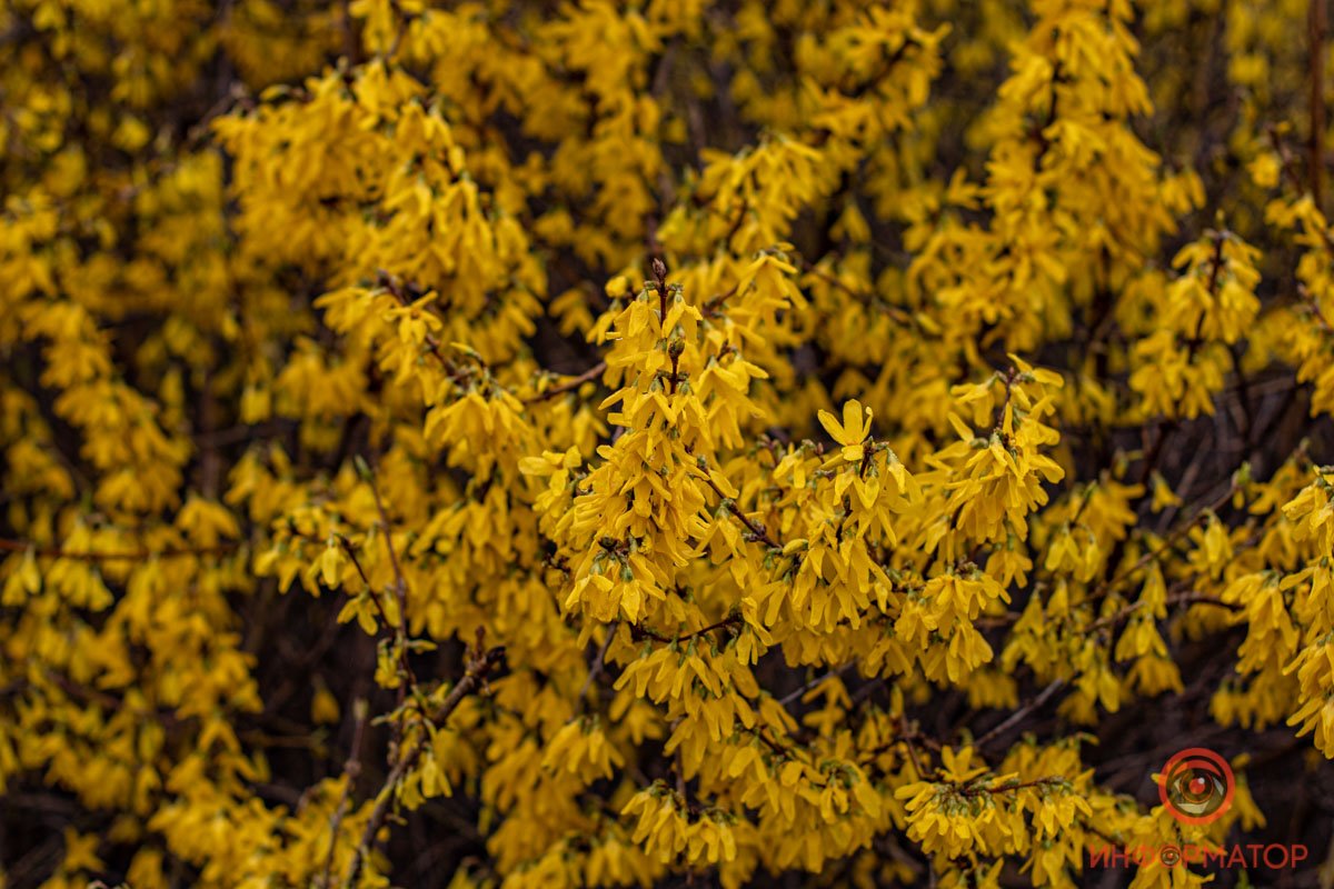 Мир оживает Мир оживает