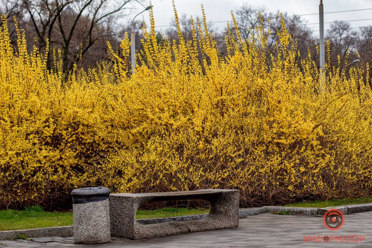 В апреле нагуляемся! В апреле нагуляемся!