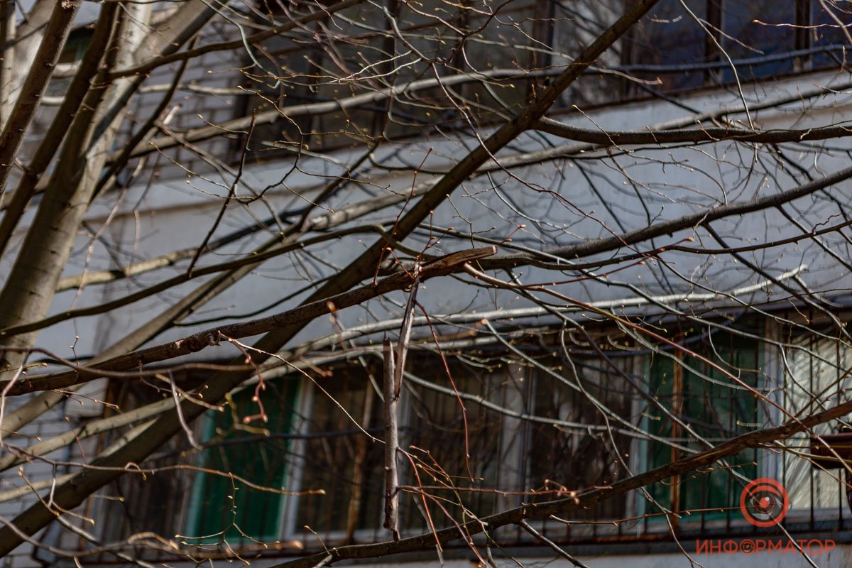 Вероятно, она выпала из окна