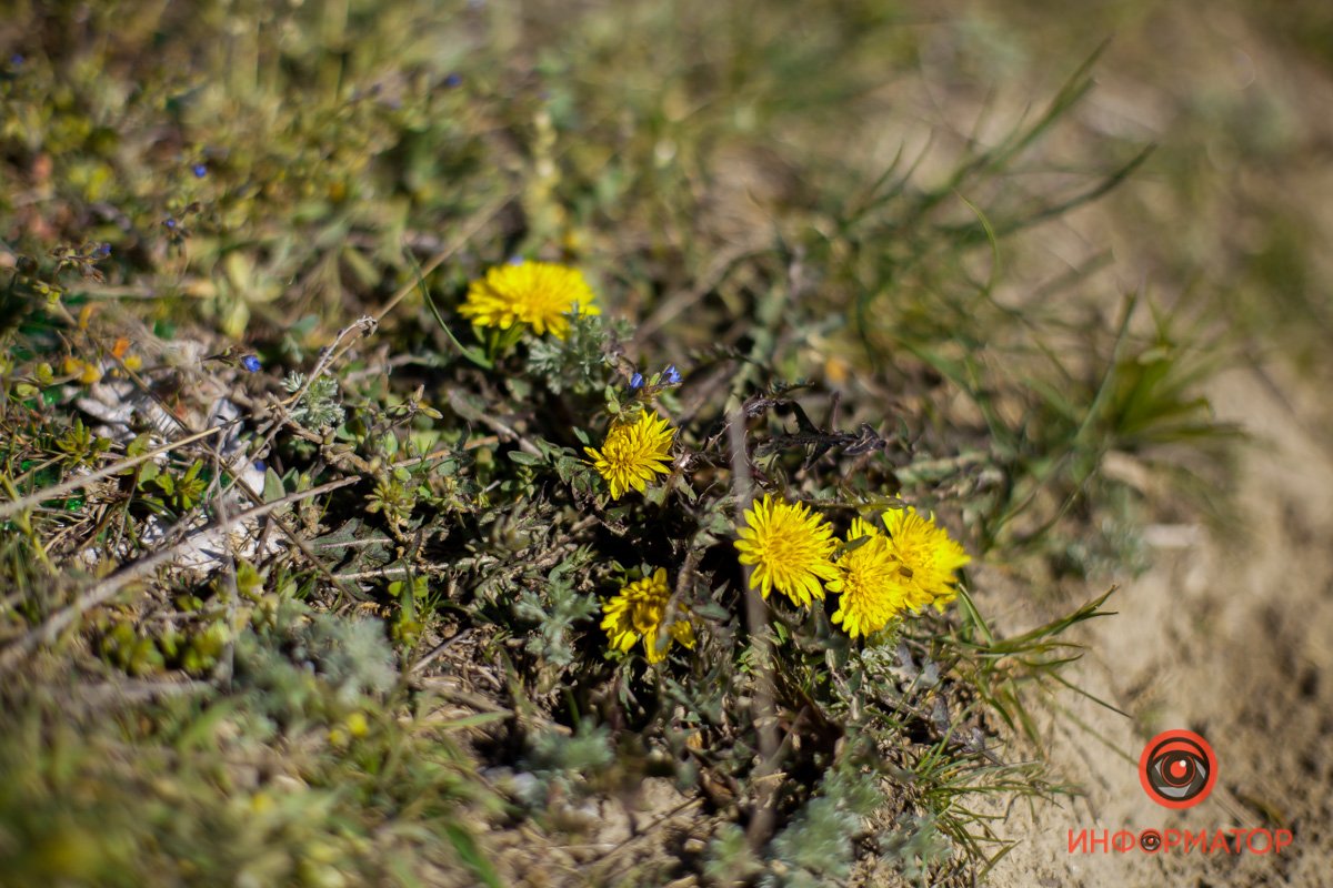 Привет, весна Привет, весна