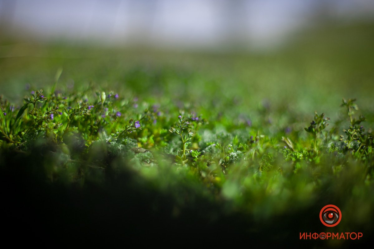 Счастье выглядит так Счастье выглядит так