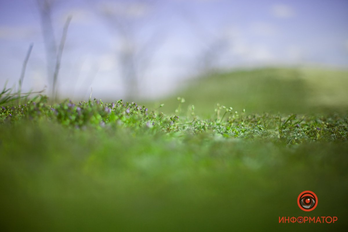 В апреле можно будет В апреле можно будет