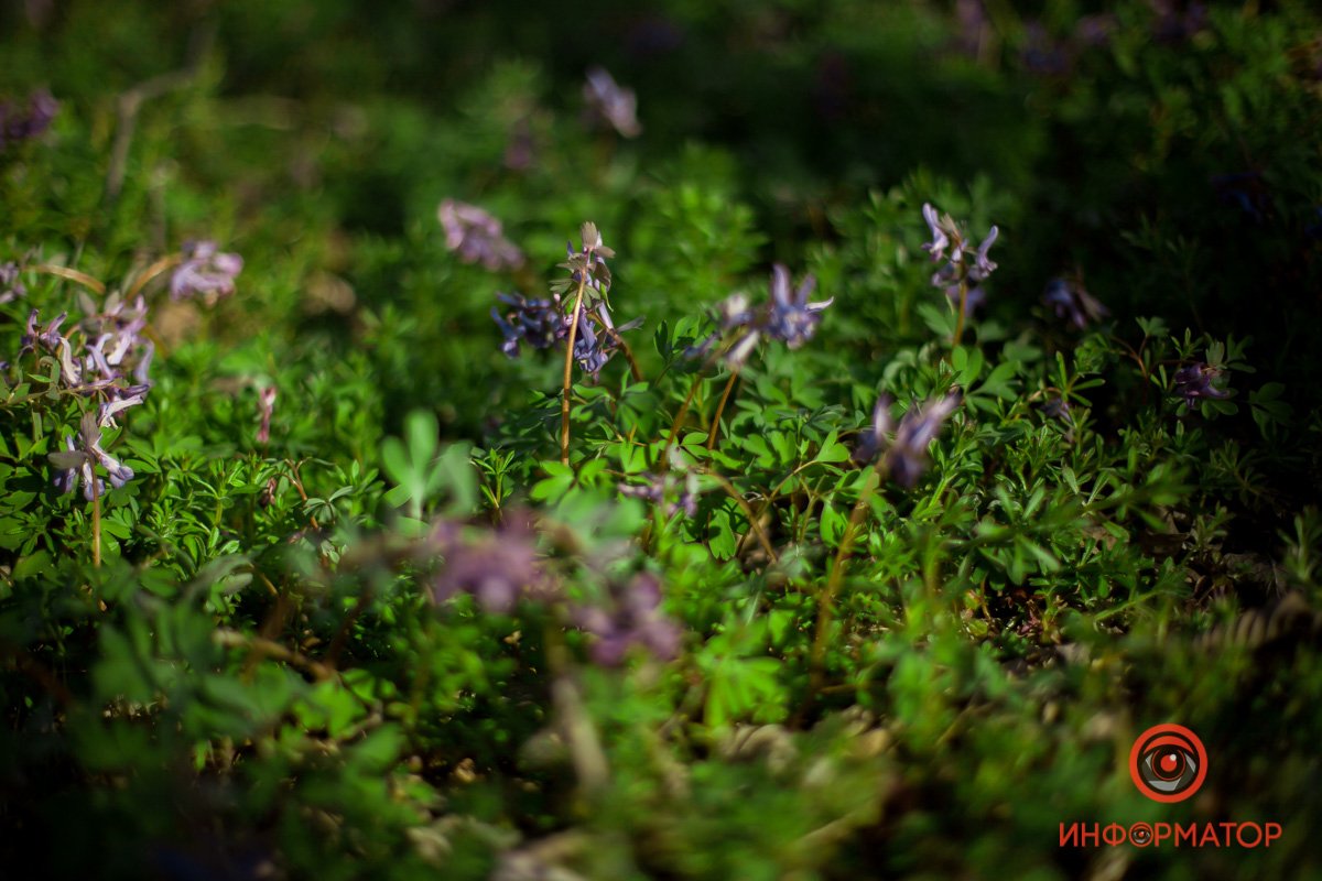 Оглянитесь  Оглянитесь