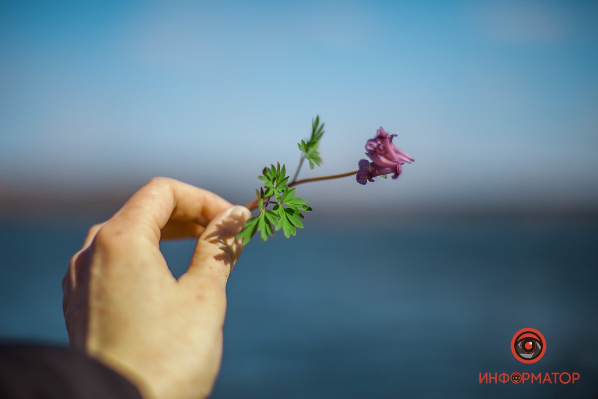 Детали Детали