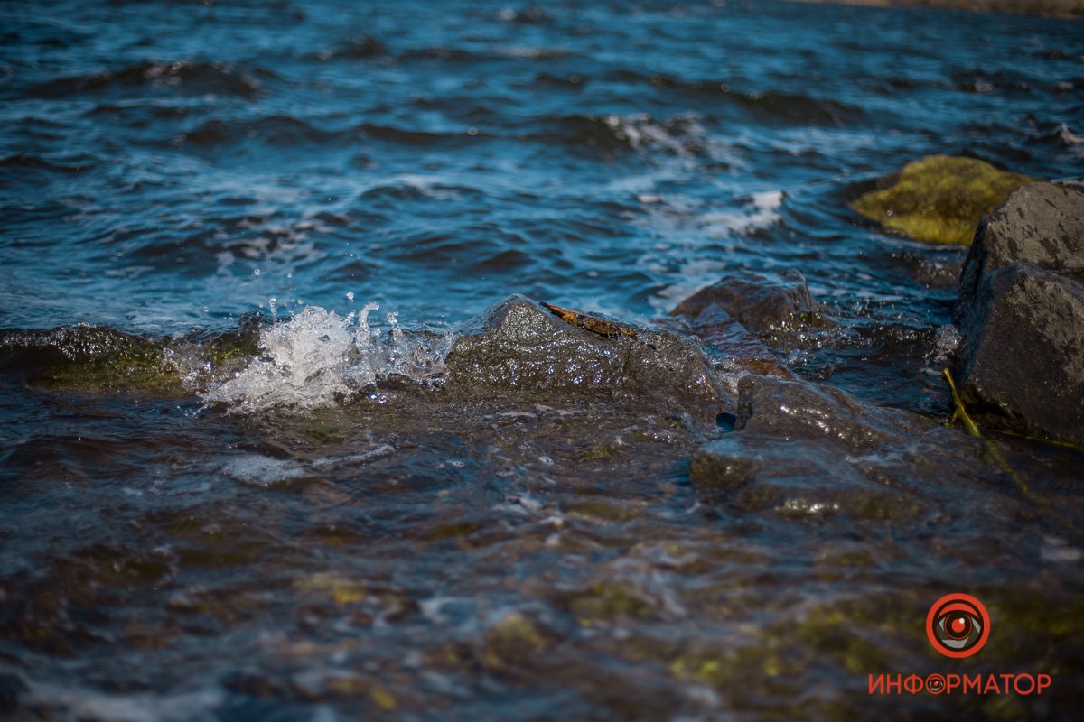 Можно смотреть вечно  Можно смотреть вечно