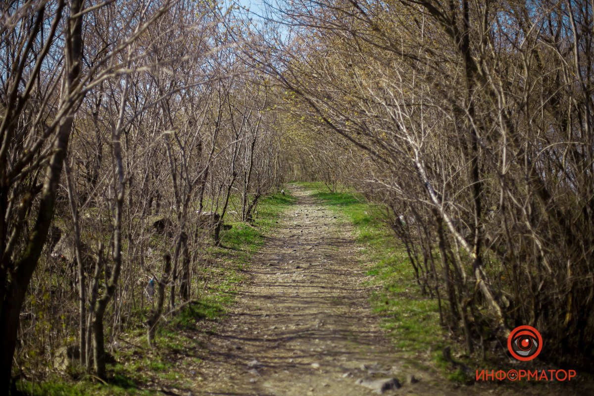 Скоро можно будет гулять  Скоро можно будет гулять
