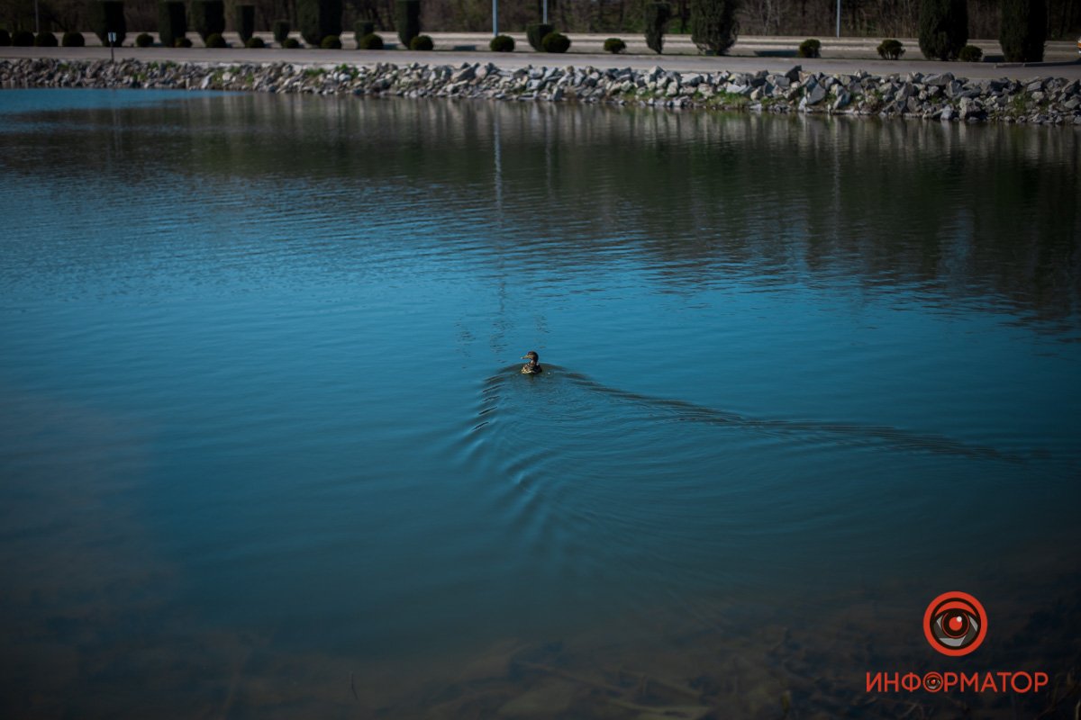 И можно будет гулять И можно будет гулять
