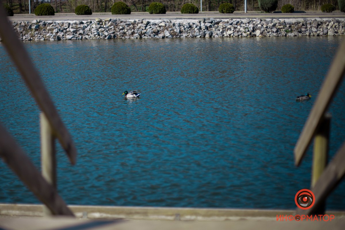 Весна дождется вас Весна дождется вас
