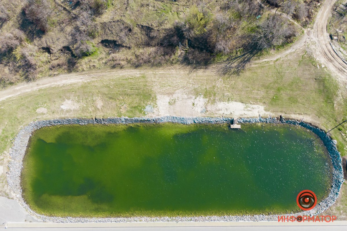 Говорят, тут водится рыба Говорят, тут водится рыба