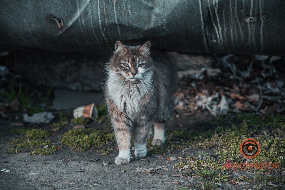 У него нет карантина У него нет карантина