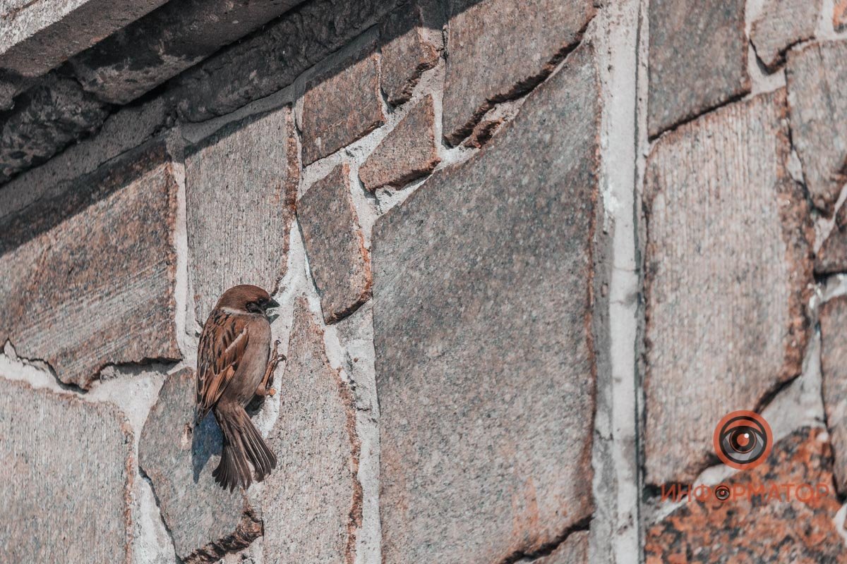 Обращайте внимание Обращайте внимание