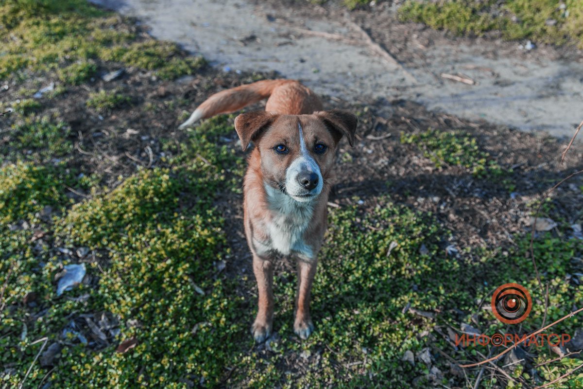 Давай знакомиться Давай знакомиться