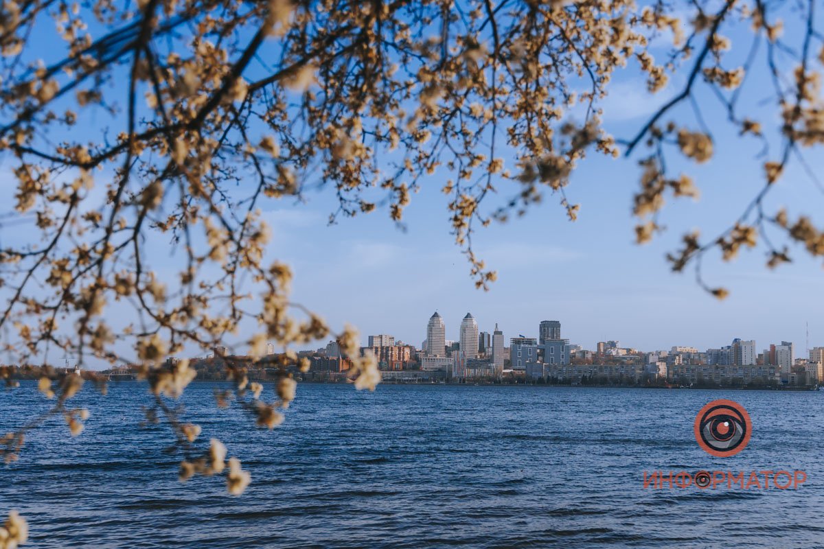 Все цветет Все цветет