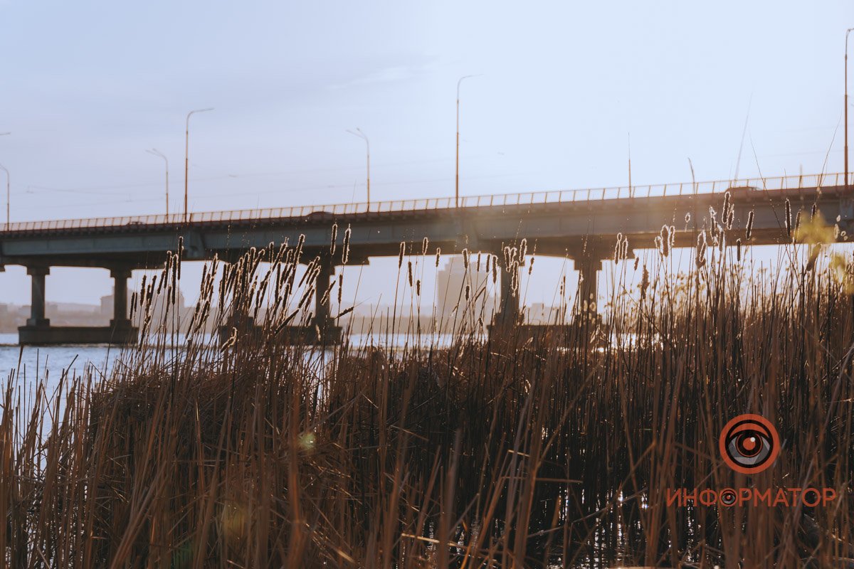 Солнце передает привет Солнце передает привет