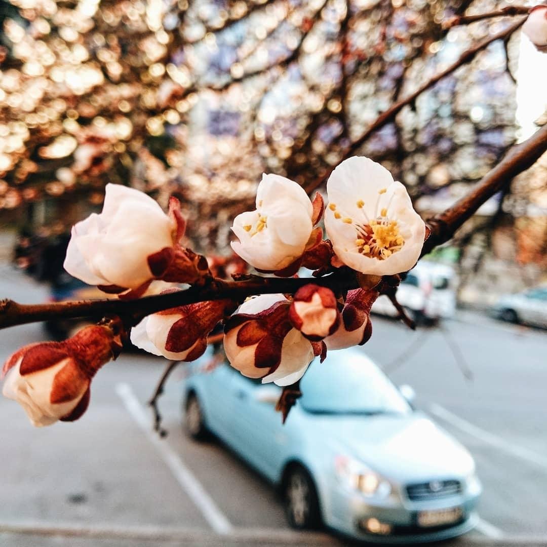 Фото: olefirka_ Фото: olefirka_